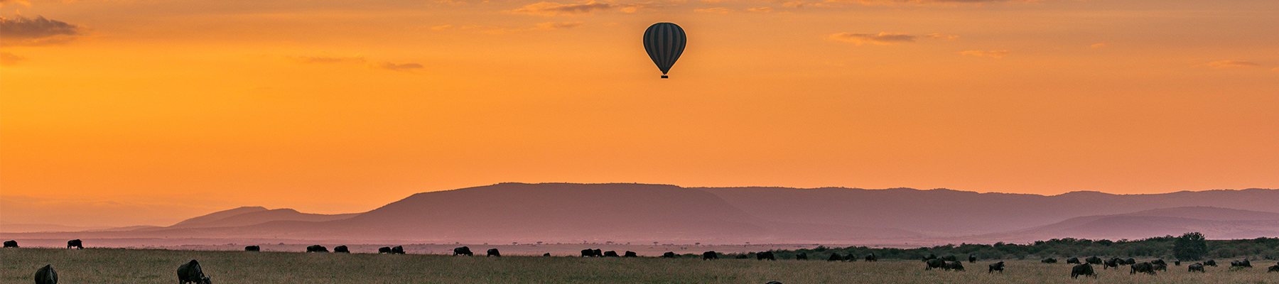 Tanzania Safari